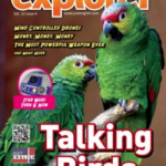 Previous Product Image